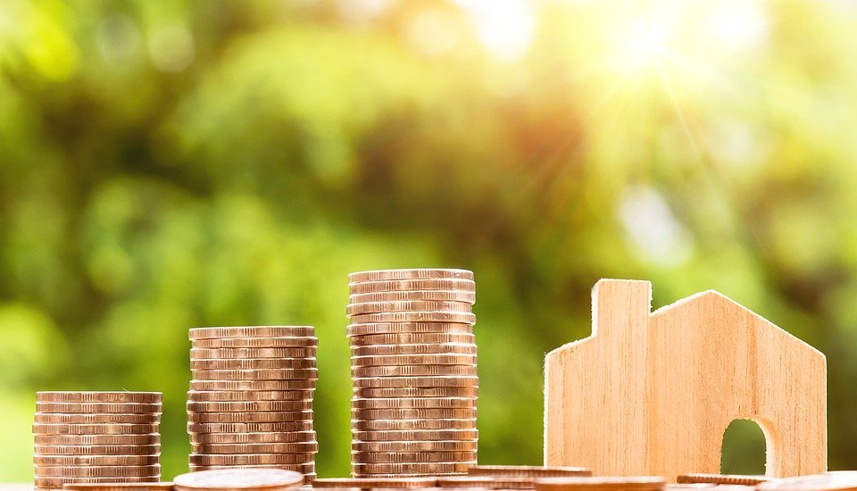 Dinheiro, Home, Moeda, Investimento, Negócios, Finanças
